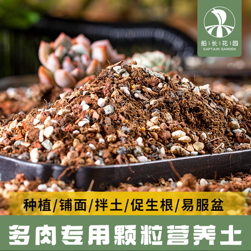 船长多肉花园专用颗粒营养土