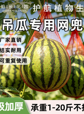 吊瓜专用网兜加厚大棚西瓜网兜