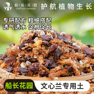 文心兰专用土毛毛虫水苔蝴蝶兰石斛发酵松树皮混合植料颗粒兰花土