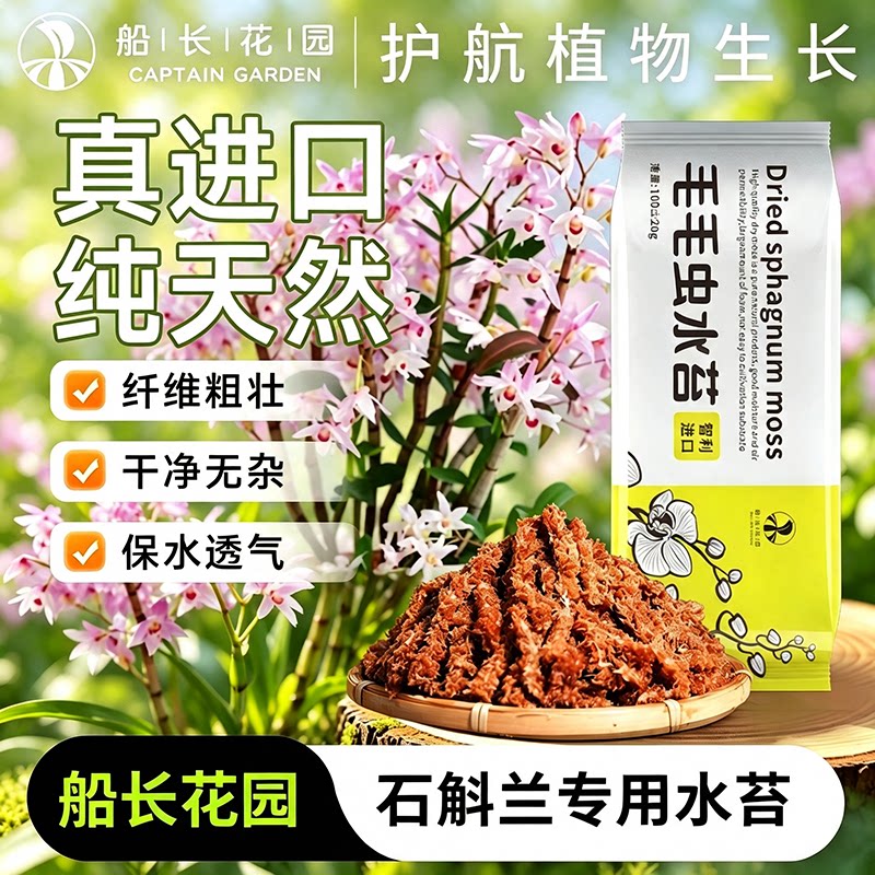 智利毛毛虫水苔石斛兰专用保湿盆栽养护干苔藓铺面促生根兰花