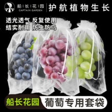 葡萄专用套袋阳光玫瑰袋子防虫防鸟神器网纱袋水果草莓保护袋户外