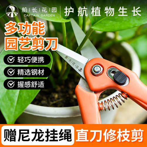 不锈钢修枝剪园艺采摘水果树木花卉直口剪枝嫁接园林剪刀工具
