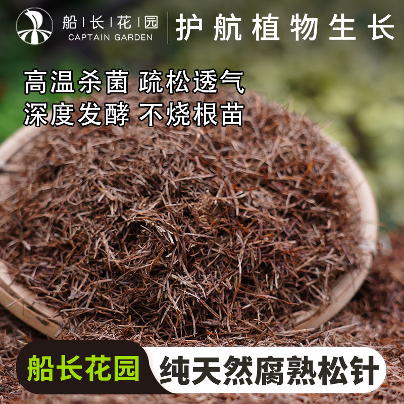 纯松针腐殖土发酵腐熟君子兰专用土松针天然腐叶土兰科用营养花土
