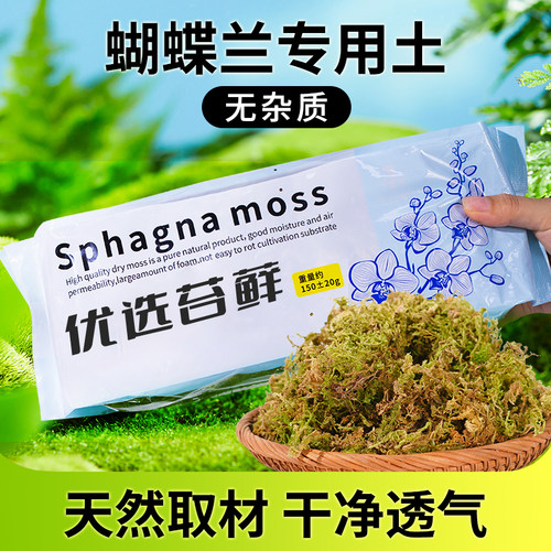 干苔藓石斛兰花蝴蝶兰专用水苔
