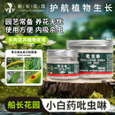 多肉花卉植物土壤小黑飞通用杀虫剂 吡虫啉防虫颗粒剂小白药月季