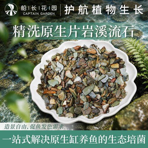 溪流石鱼缸底砂造景铺底摆件