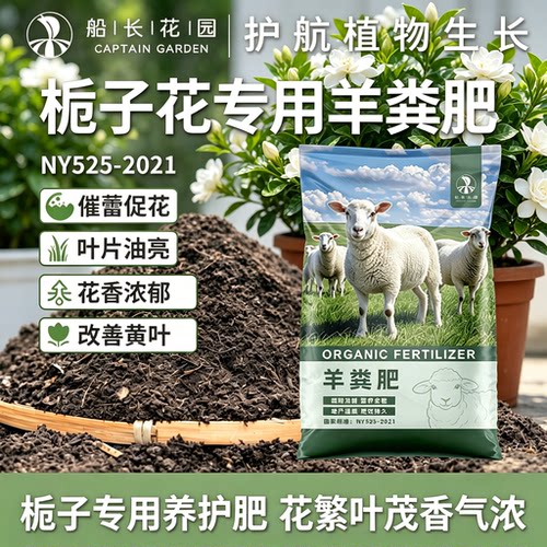 栀子专用发酵羊粪有机肥100斤
