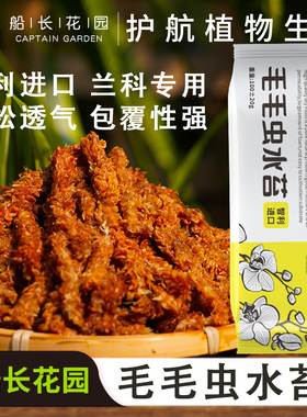 水苔蝴蝶兰专用智利进口毛毛虫水苔干苔藓乌龟造景土兰花专用植料