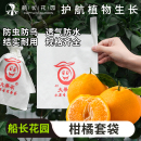 耙耙柑专用套袋柑橘果袋脐橙子春见不知火芒果石榴防虫鸟水果套袋