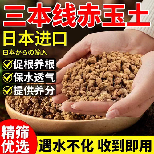 进口硬质三本线盆景爬宠赤玉土