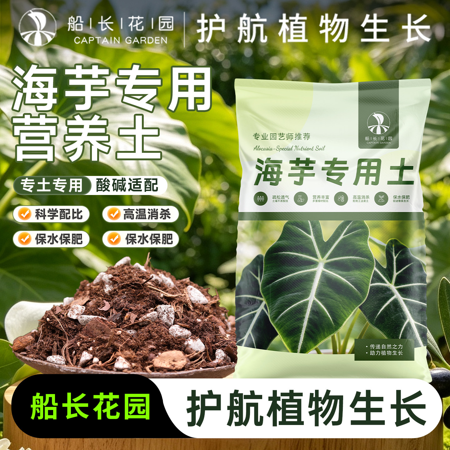 海芋专用营养土热植龟背竹秋海棠营养颗粒天南星科植物通用泥炭CZ图片