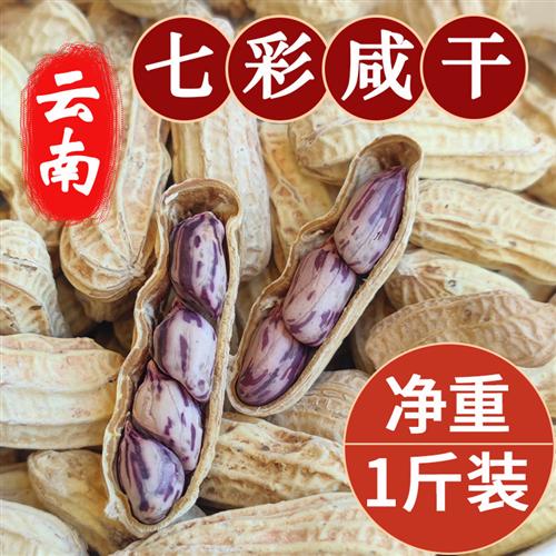 2025新货七彩花生500g云南特产水煮咸干晒干带壳五彩色熟花生零食