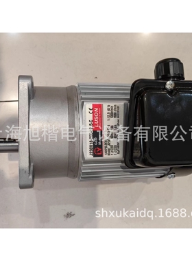 J220L16-200-18-S8 LUSON电机LUYANG电机