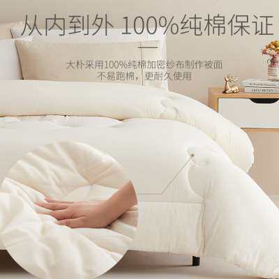 大朴致美A类新疆棉花被子棉被全棉春秋加厚保暖棉胎被芯棉絮床褥