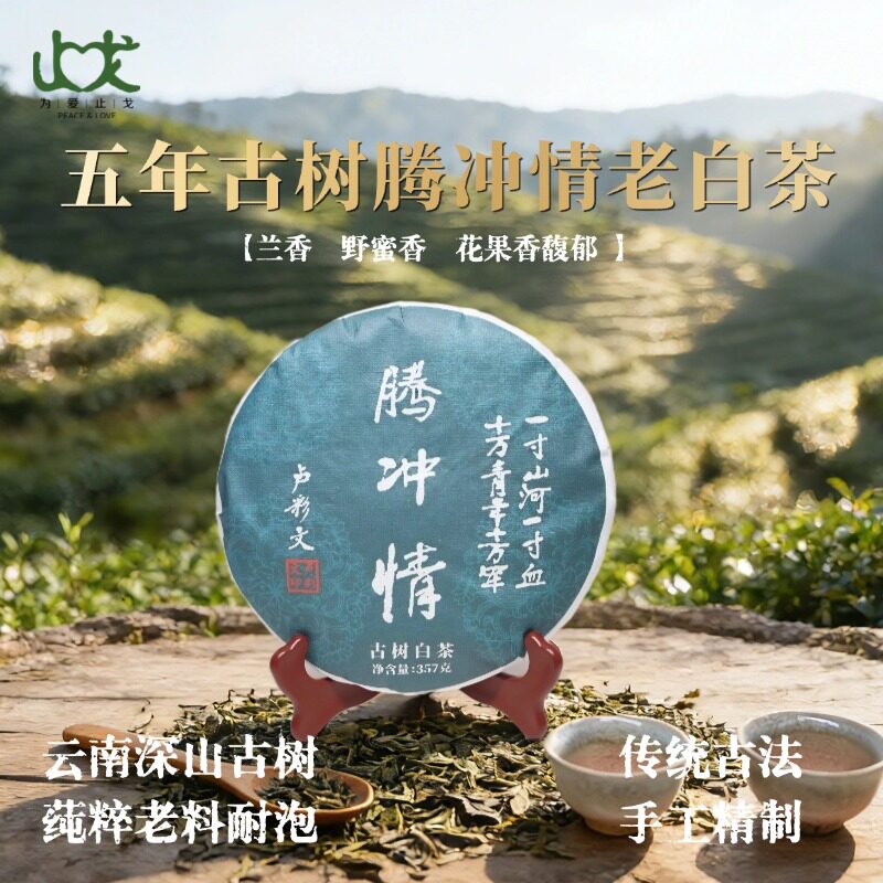 腾冲情古树五年老白茶