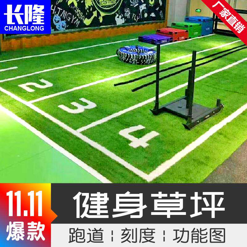健身房草坪私教体适能体能训练运动假草皮跑道室内工作室定制地毯