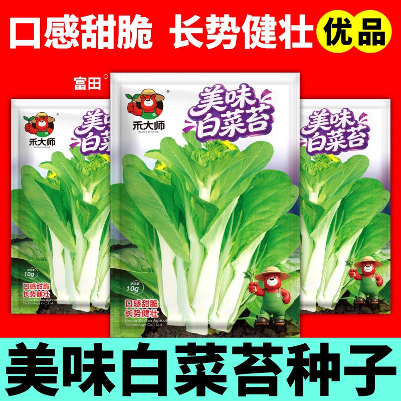 白菜苔种子越掐越长苔心菜白菜心菜尖红菜苔蔬菜种籽庭院田园种植