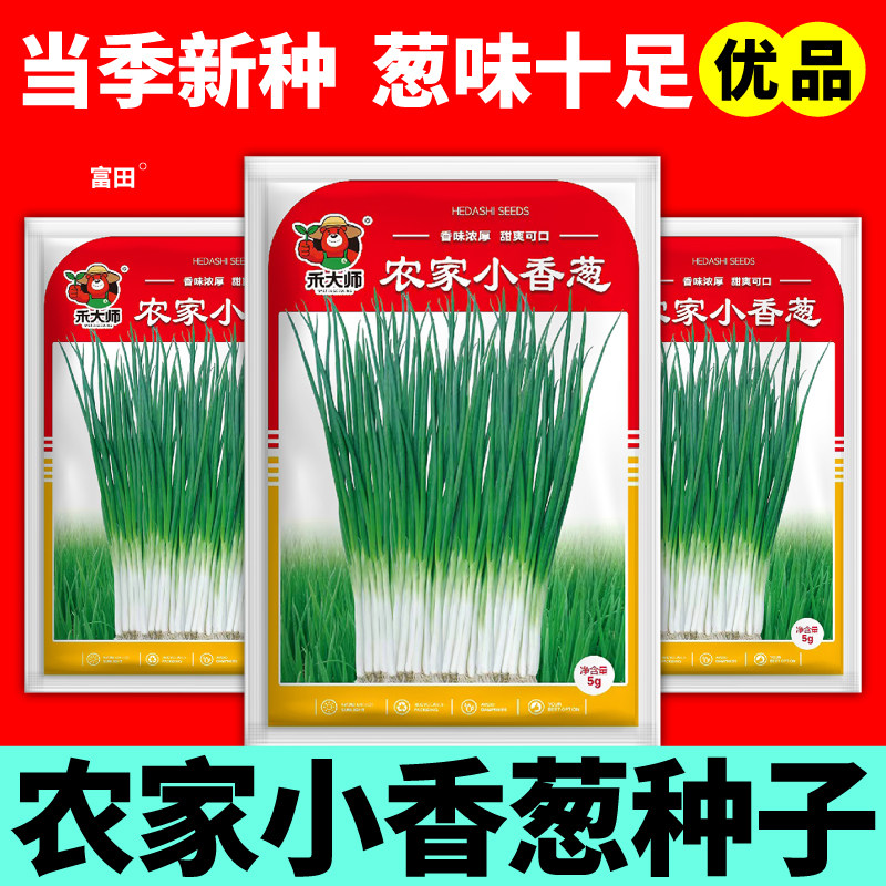 农家小香葱种子葱味十足老品种耐寒抗热可重复采收阳台盆栽小院
