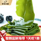 不吃小鱼整颗盐渍海带特厚盐鲜整海带新鲜凉拌煲汤饭包非干海带片