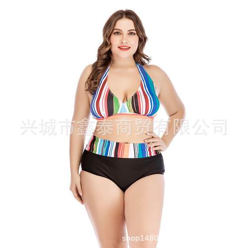 Plus size bikini swimsuit plus two piece