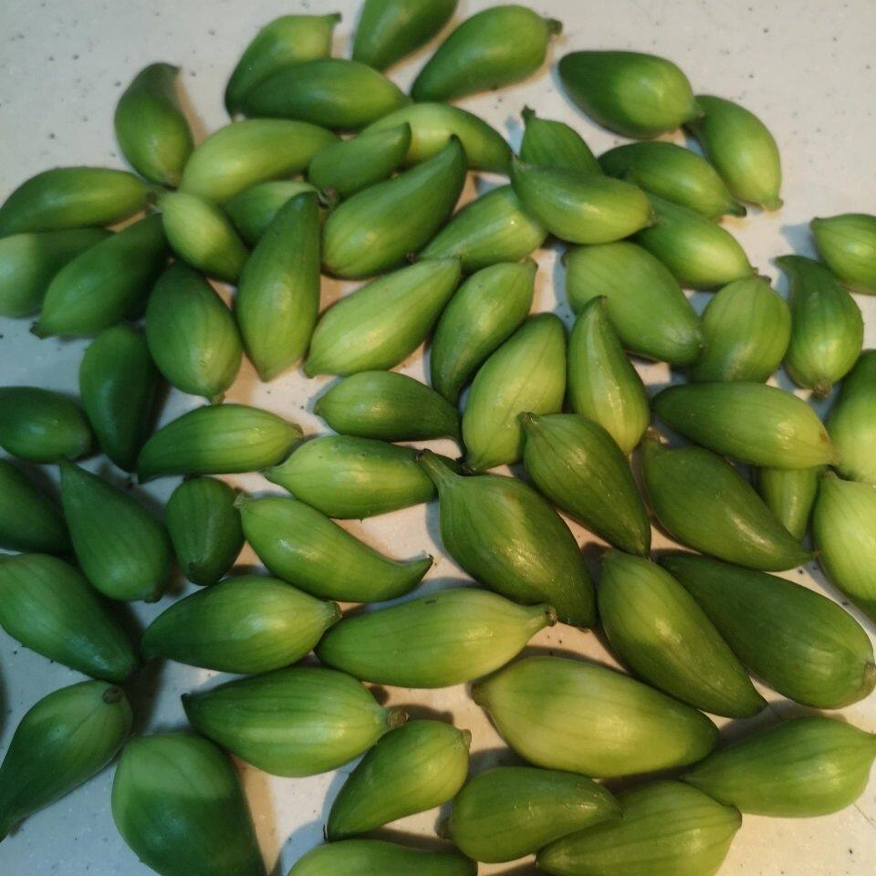云南德宏特产新鲜蔬菜小雀瓜 小角瓜美味素食装短季时令蔬菜