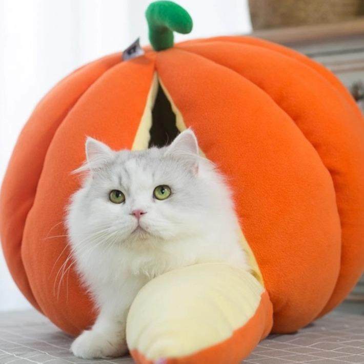 南瓜宠物窝创意猫屋猫房子冬季冬天秋冬款猫咪窝加厚保暖猫窝狗窝,宠物/宠物食品及用品,猫狗垫子,淘宝优惠券,粉丝福利购,淘宝优惠卷