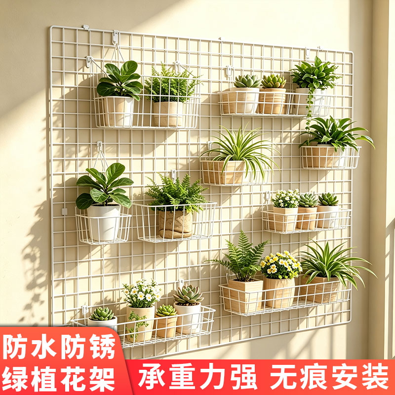 白色铁丝网网格片植物绿植蔷薇丝瓜爬藤网架子月季铁线莲攀爬网架