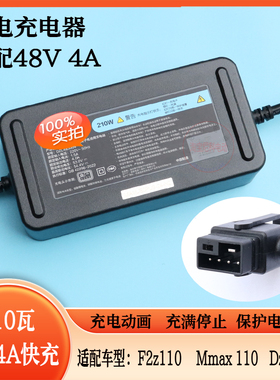 适用九号电动车锂电充电器48V4A/210W/F2z110Mmax110pDZ110pm原装