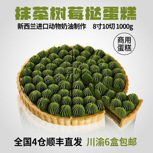 蓓听抹茶树莓挞蛋糕冷冻动物奶油西餐厅咖啡馆商用慕斯甜品半成品