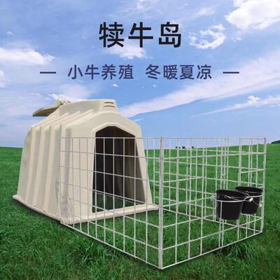 小奶牛户外养殖房小奶牛犊牛岛夏天防暑冬天保温