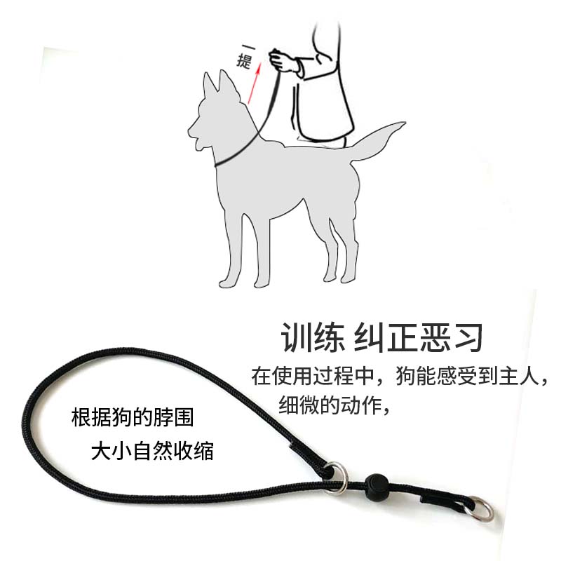 新品狗狗脖圈狗P链P字绳宠物窒息项圈马犬金毛训犬P绳用品束颈环