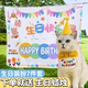 扮拍照道具 猫咪帽子头饰可爱兔子头套泰迪柯基法斗狗狗围兜生日装