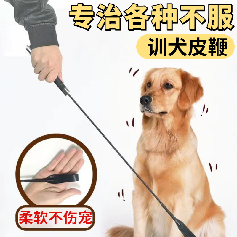 狗打棒皮鞭训犬爱心拍