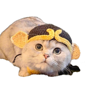猫咪搞怪头套可爱头饰兔耳朵狗狗生日拍照宠物变装猪八戒帽子针织