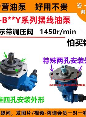 新款BB-B25Y/B32Y/B16Y/B20Y/B10Y/B6Y/B4Y摆线油泵电机组YF包邮