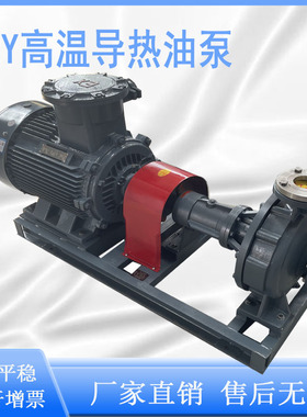 新款高温导热油泵RY25-25-160/RY32-32-160/RY40-25-160/50-3现货