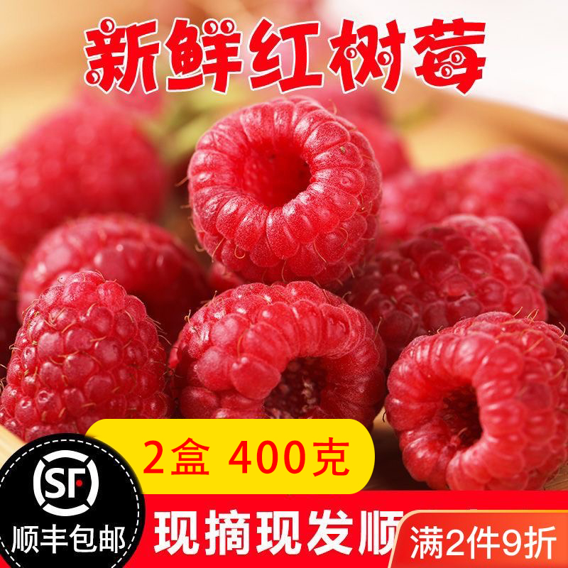 树莓蓝莓纯甜新鲜现摘现发