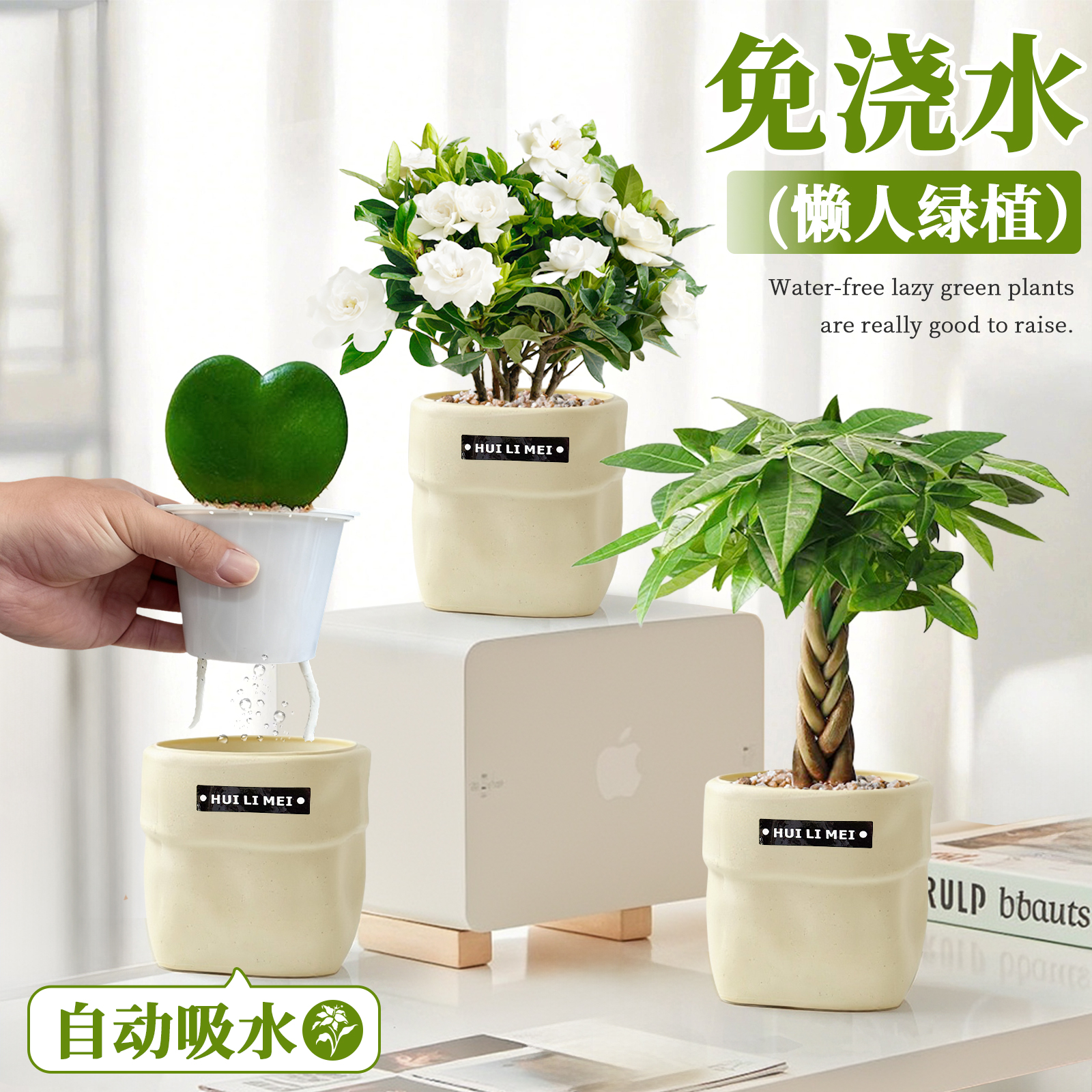 可以自动喝水的盆栽合集