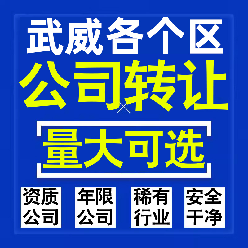 武威公司股权转让收购买科技贸易教育传媒咨询类公司营业执照注册