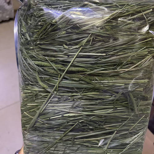 25烘干头茬提摩西草段包邮