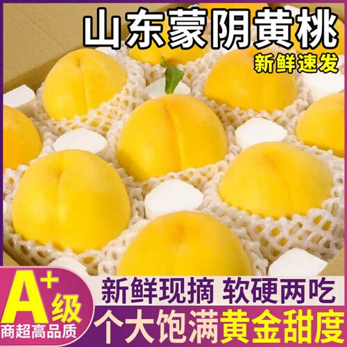 正宗山东蒙阴大黄桃应季新鲜水果