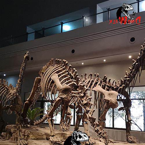 博物馆恐龙化石主题公园恐龙骨架小品景观展出仿真化石标本出售