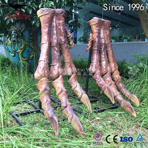 化石骨架恐龙脚模型仿真化石博物馆科技馆展览自贡恐龙厂家制作