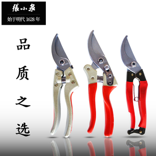 速发张小剪修花剪园艺剪刀修枝家修剪树枝剪刀泉用粗枝剪果树