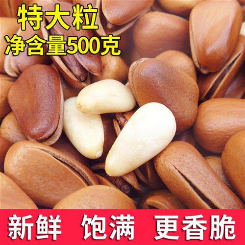 原味手剥开口松子非特级特大东北2025新货500g松子王坚果发批干果