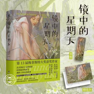 镜中的星期天 (日)殊能将之著 悬疑推理小说  侦探与罪犯 梦幻与真实 寻找案件真相 外国文学作品 恐怖惊悚本格推理小说