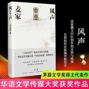 风声 茅盾文学奖得主麦家代表作 华语文学传媒大奖年度小说家”获奖作品人生海海 中国现当代文学小说