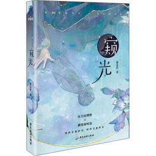 双男主书籍 窥光 青春文学言情小说 著 偷偷喜欢你偏偏宠爱甜美爱情故事 池总渣