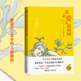 我亲爱的甜橙树 德瓦斯康塞洛斯著 8-12岁儿童成长小说儿童文学三四五六年级小学生课外阅读书籍于晓光曹文轩朱永新感人故事书