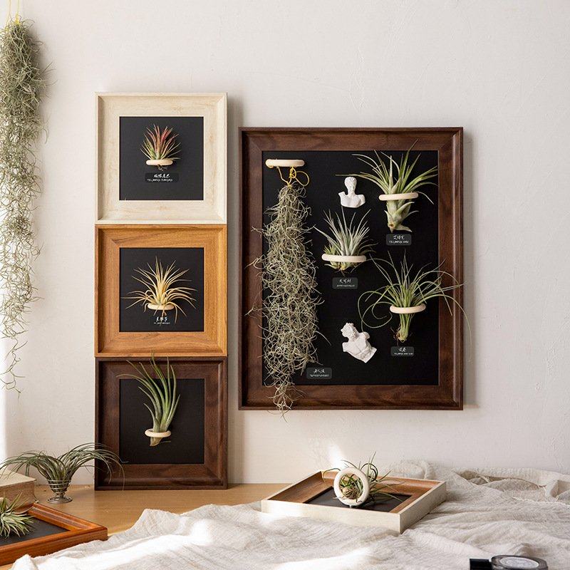 空气凤梨相框摆台复古高级感空框挂墙方形中古磁吸冰箱贴装饰画框,家居饰品,装饰摆件,淘宝优惠券,粉丝福利购,淘宝优惠卷